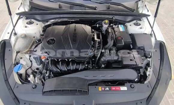 Buy Used Kia K5 White Car in Al khuwair in al-Batinah Buy Used Kia K5 White Car in Al khuwair in al-Batinah