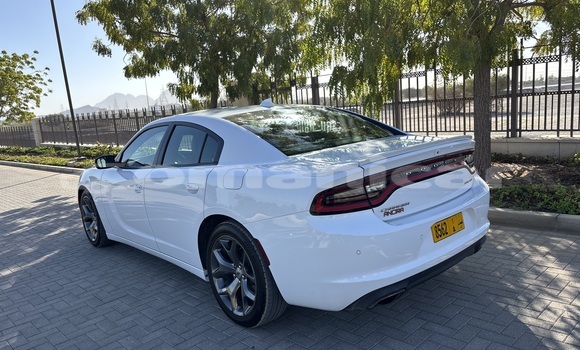 Buy Used Dodge Charger White Car in as–Sib in Masqat Buy Used Dodge Charger White Car in as–Sib in Masqat