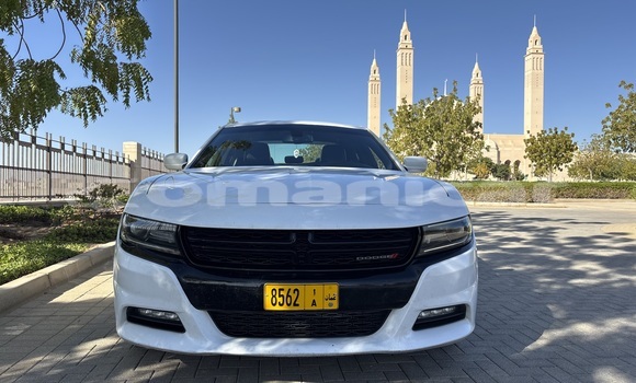 Buy Used Dodge Charger White Car in as–Sib in Masqat Buy Used Dodge Charger White Car in as–Sib in Masqat