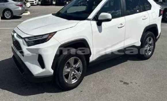 Buy Used Toyota RAV4 White Car in Barkah in al-Batinah