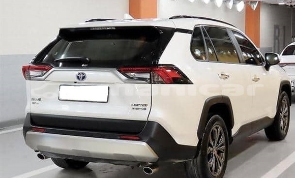 Buy Used Toyota RAV4 White Car in Muscat in Masqat Buy Used Toyota RAV4 White Car in Muscat in Masqat
