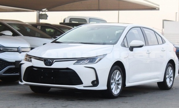 Buy Used Toyota Corolla White Car in Muscat in Masqat
