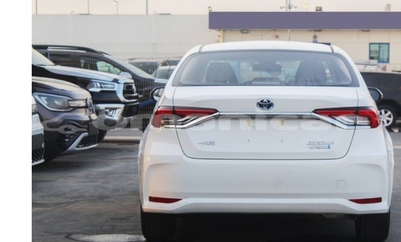 Buy Used Toyota Corolla White Car in Muscat in Masqat Buy Used Toyota Corolla White Car in Muscat in Masqat