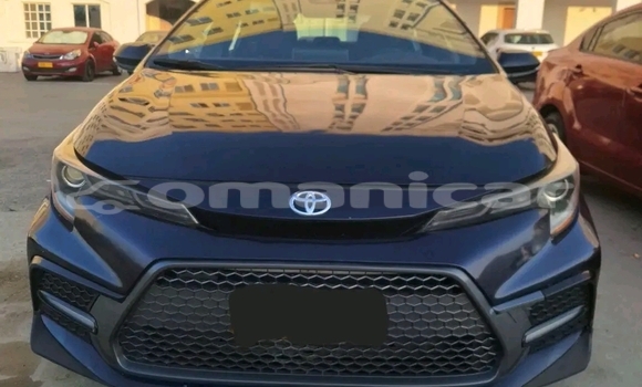 Buy Used Toyota Corolla Black Car in Azaiba in Masqat Buy Used Toyota Corolla Black Car in Azaiba in Masqat