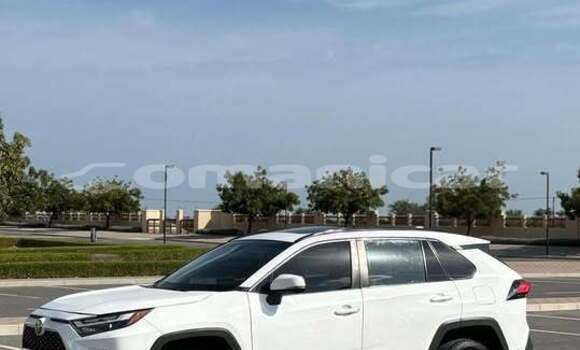 Buy Used Toyota RAV4 White Car in Barkah in al-Batinah