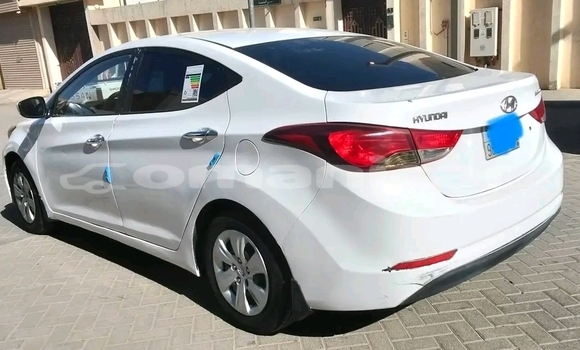 Buy Used Hyundai Elantra White Car in Azaiba in Masqat Buy Used Hyundai Elantra White Car in Azaiba in Masqat