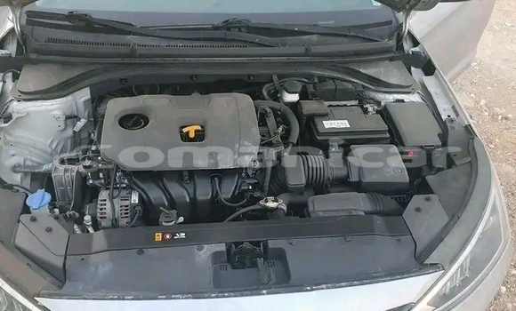 Buy Used Hyundai Elantra Other Car in Azaiba in Masqat Buy Used Hyundai Elantra Other Car in Azaiba in Masqat