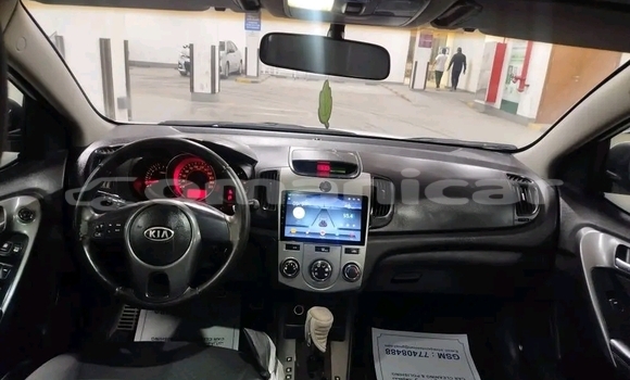 Buy Used Kia Cerato White Car in Barkah in al-Batinah