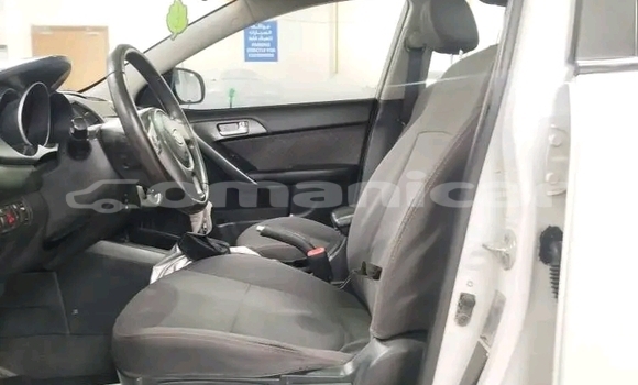 Buy Used Kia Cerato White Car in Barkah in al-Batinah Buy Used Kia Cerato White Car in Barkah in al-Batinah