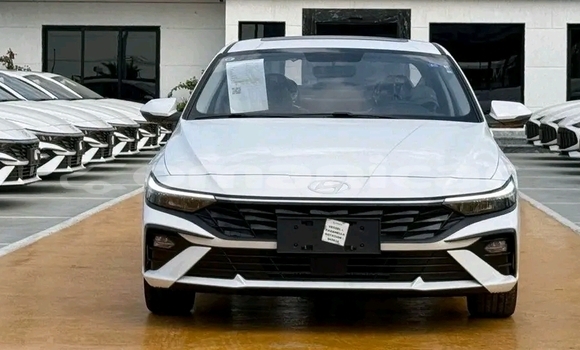 Buy Used Hyundai Elantra White Car in Khasab in Musandam Buy Used Hyundai Elantra White Car in Khasab in Musandam