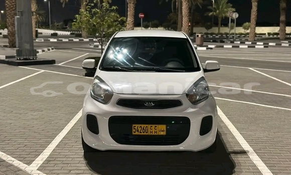Buy Used Kia Picanto White Car in Bahla' in ad-Dakhiliyah Buy Used Kia Picanto White Car in Bahla' in ad-Dakhiliyah