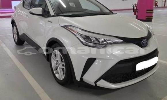 Buy Used Toyota C-HR White Car in Muscat in Masqat