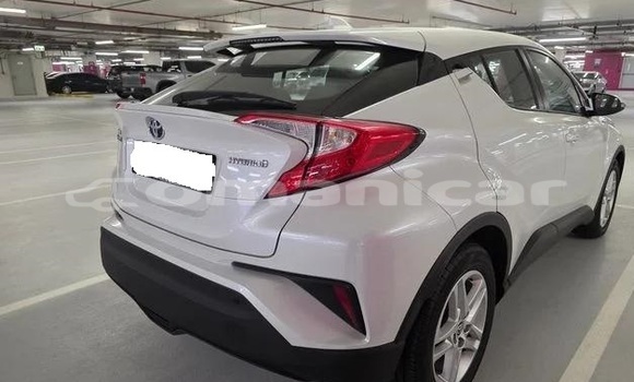 Buy Used Toyota C-HR White Car in Muscat in Masqat Buy Used Toyota C-HR White Car in Muscat in Masqat