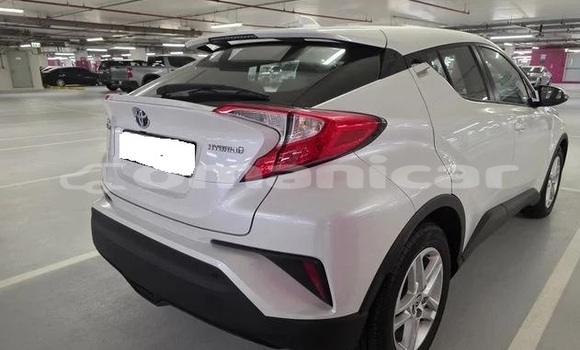 Buy Used Toyota C-HR White Car in Muscat in Masqat Buy Used Toyota C-HR White Car in Muscat in Masqat