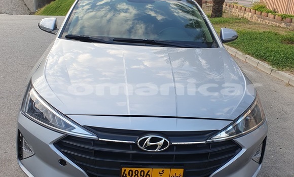 Buy Used Hyundai Elantra Silver Car in Wadi Al Kabir in Masqat