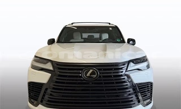 Buy Used Lexus LX White Car in Salalah in Dhufar