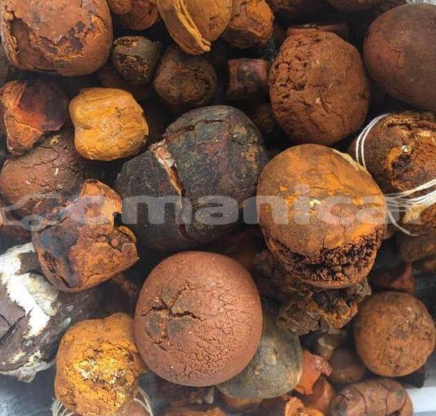 Big with watermark 5686ecd6608023cf0f947e55ffde75efb9fccdd3