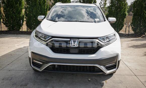 Buy Used Honda CR–V White Car in Muscat in Masqat Buy Used Honda CR–V White Car in Muscat in Masqat