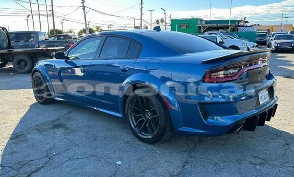 Buy Used Dodge Charger Blue Car in Muscat in Masqat Buy Used Dodge Charger Blue Car in Muscat in Masqat