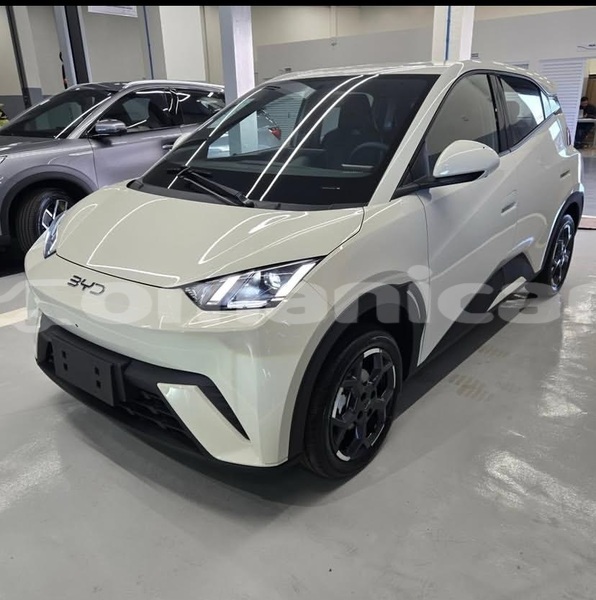 Big with watermark byd s6 masqat muscat 7949