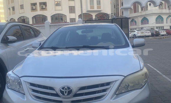 Buy Used Toyota Corolla Silver Car in Al khuwair in al-Batinah