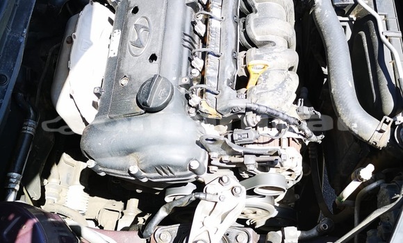 Buy Used Hyundai Elantra Other Car in Muscat in Masqat Buy Used Hyundai Elantra Other Car in Muscat in Masqat