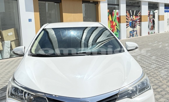 Buy Used Toyota Corolla White Car in Masqat in Masqat