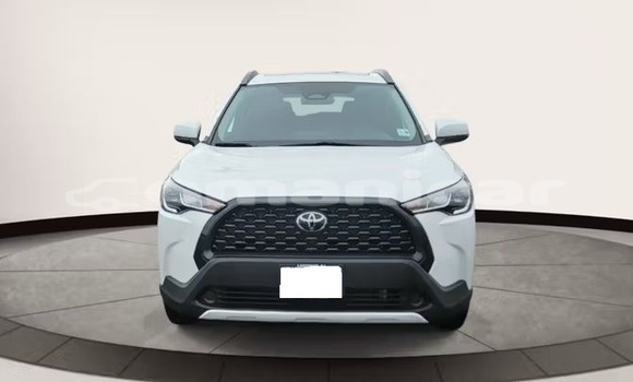 Buy Used Toyota Corolla Cross White Car in Muscat in Masqat