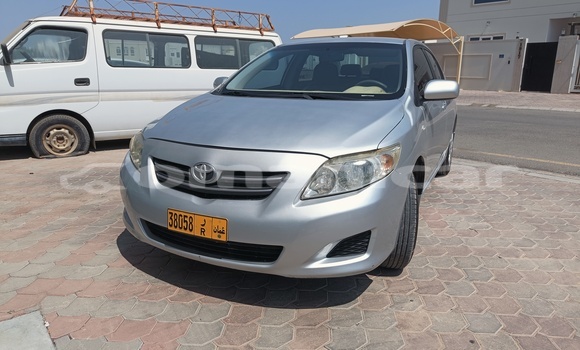 Buy Used Toyota Corolla Silver Car in Muscat in Masqat