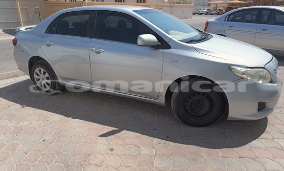 Buy Used Toyota Corolla Silver Car in Muscat in Masqat Buy Used Toyota Corolla Silver Car in Muscat in Masqat