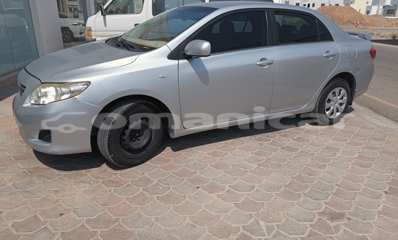 Buy Used Toyota Corolla Silver Car in Muscat in Masqat Buy Used Toyota Corolla Silver Car in Muscat in Masqat