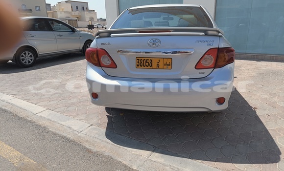 Buy Used Toyota Corolla Silver Car in Muscat in Masqat Buy Used Toyota Corolla Silver Car in Muscat in Masqat