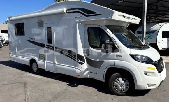 Buy Used Fiat Ulysse White Car in Muscat in Masqat