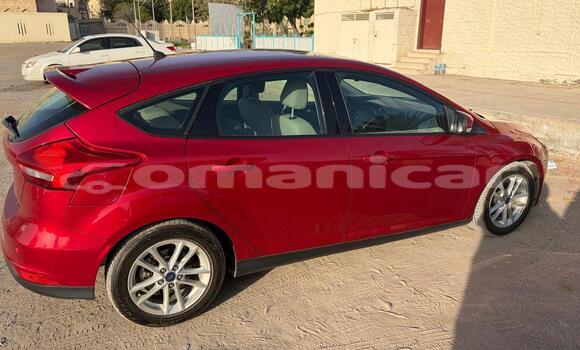 Buy Used Ford Focus Other Car in Muscat in Masqat