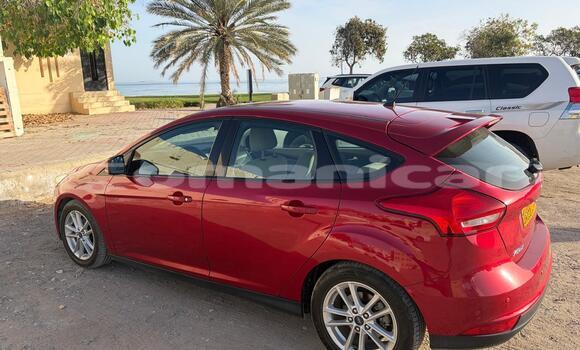 Buy Used Ford Focus Other Car in Muscat in Masqat Buy Used Ford Focus Other Car in Muscat in Masqat