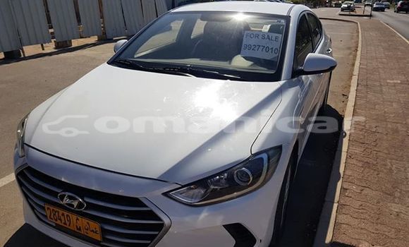 Buy Used Hyundai Elantra White Car in Muscat in Masqat