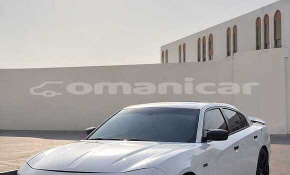 Buy Used Dodge Charger White Car in Muttrah in Masqat Buy Used Dodge Charger White Car in Muttrah in Masqat