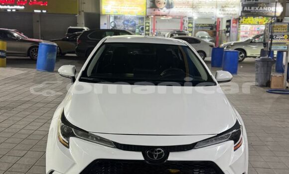Buy Used Toyota Corolla White Car in Muscat in Masqat