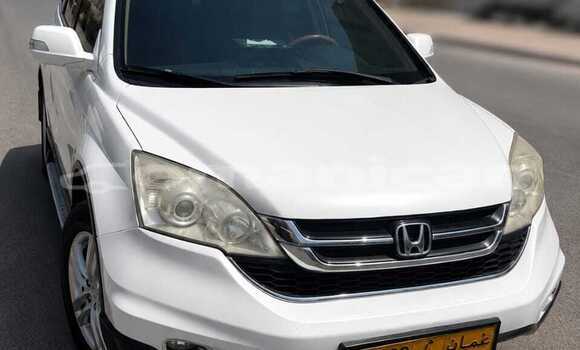 Buy Used Honda CR–V White Car in Salalah in Dhufar Buy Used Honda CR–V White Car in Salalah in Dhufar