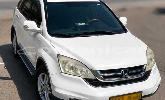 Buy Used Honda CR–V White Car in Salalah in Dhufar Buy Used Honda CR–V White Car in Salalah in Dhufar