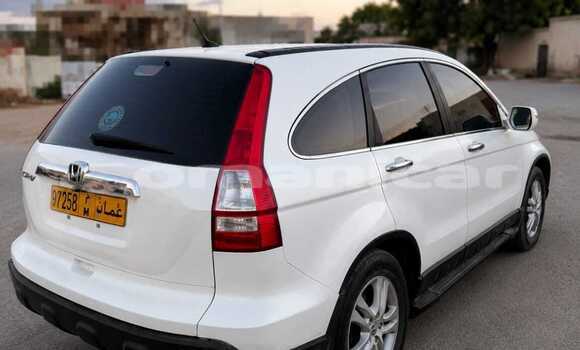 Buy Used Honda CR–V White Car in Salalah in Dhufar Buy Used Honda CR–V White Car in Salalah in Dhufar