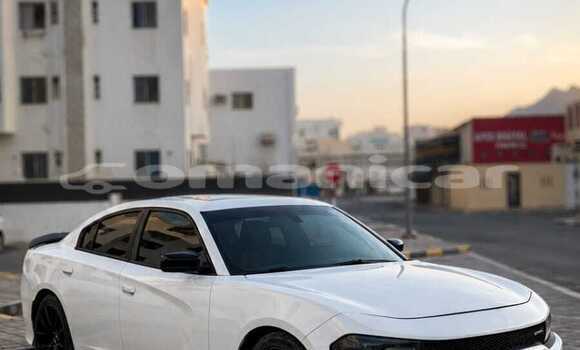 Buy Used Dodge Charger White Car in Azaiba in Masqat Buy Used Dodge Charger White Car in Azaiba in Masqat