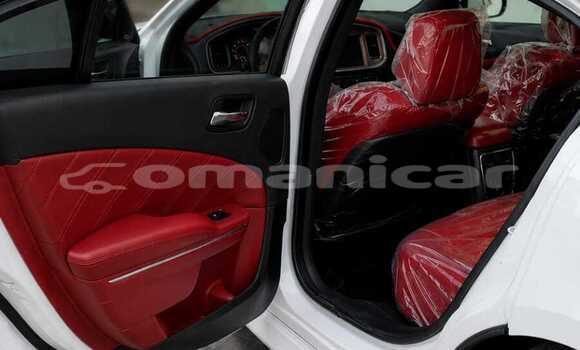 Buy Used Dodge Charger White Car in Azaiba in Masqat Buy Used Dodge Charger White Car in Azaiba in Masqat
