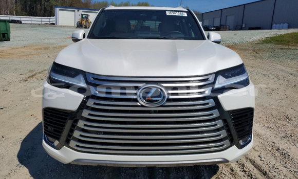 Buy Used Lexus LX White Car in Muscat in Masqat