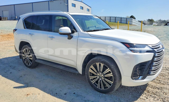 Buy Used Lexus LX White Car in Muscat in Masqat Buy Used Lexus LX White Car in Muscat in Masqat