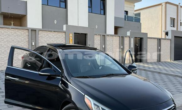 Buy Used Hyundai Sonata Black Car in Masqat in Masqat