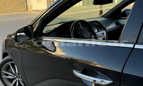 Buy Used Hyundai Sonata Black Car in Masqat in Masqat Buy Used Hyundai Sonata Black Car in Masqat in Masqat