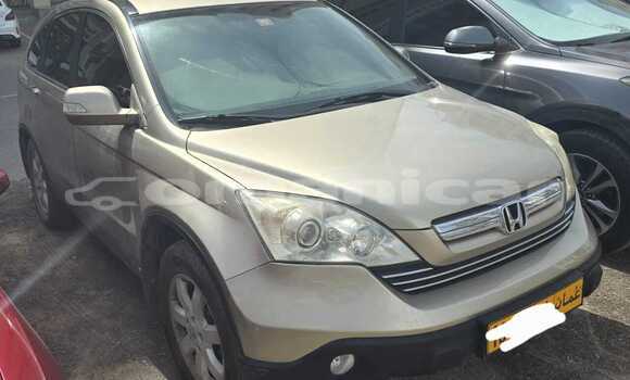 Buy Used Honda CR–V Other Car in Muscat in Masqat Buy Used Honda CR–V Other Car in Muscat in Masqat