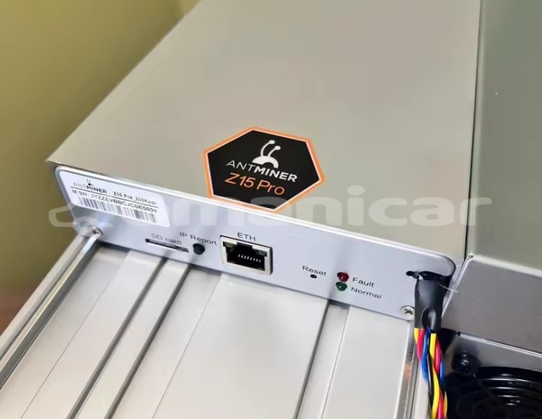 Big with watermark z15