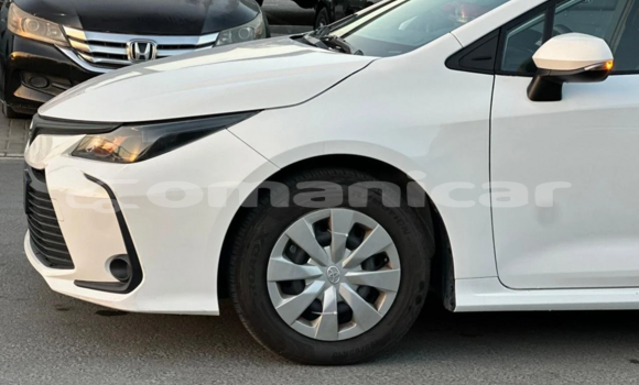 Buy Used Toyota Corolla White Car in al–Mudaybi in ash-Sharqiyah